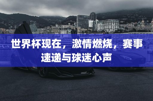 世界杯现在，激情燃烧，赛事速递与球迷心声