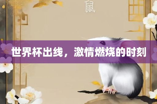 世界杯出线，激情燃烧的时刻