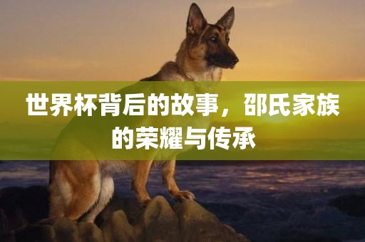 世界杯背后的故事，邵氏家族的荣耀与传承