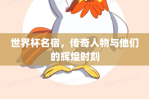 世界杯名宿，传奇人物与他们的辉煌时刻