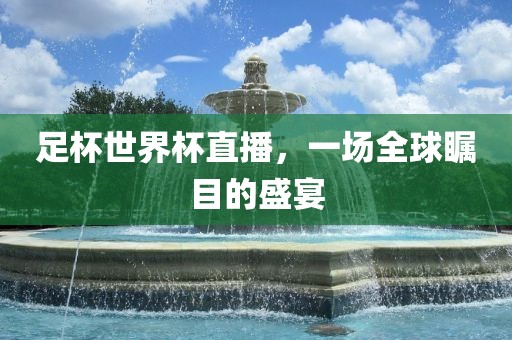 足杯世界杯直播，一场全球瞩目的盛宴