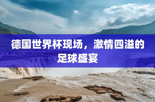 德国世界杯现场，激情四溢的足球盛宴