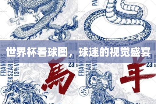 世界杯看球图，球迷的视觉盛宴