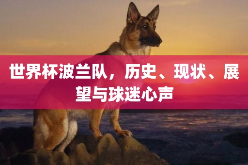 世界杯波兰队，历史、现状、展望与球迷心声