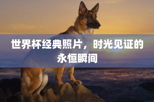 世界杯经典照片，时光见证的永恒瞬间