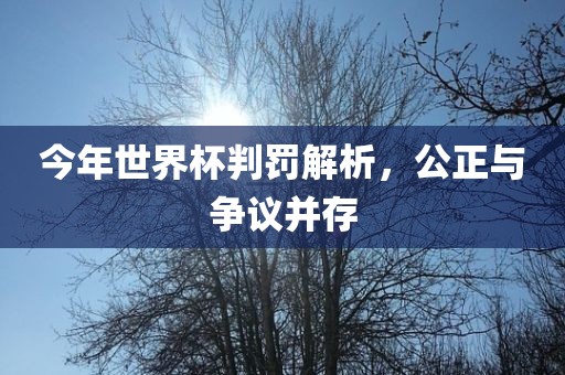 今年世界杯判罚解析，公正与争议并存