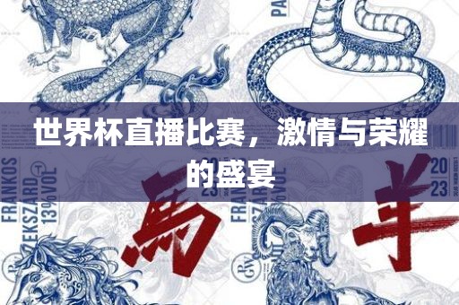 世界杯直播比赛，激情与荣耀的盛宴