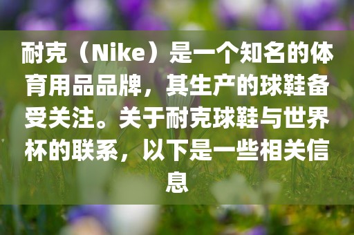 耐克（Nike）是一个知名的体育用品品牌，其生产的球鞋备受关注。关于耐克球鞋与世界杯的联系，以下是一些相关信息