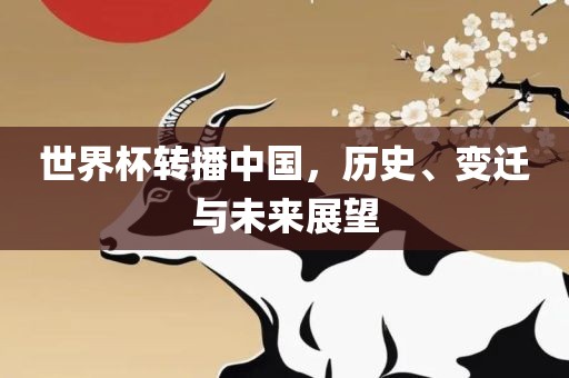 世界杯转播中国，历史、变迁与未来展望
