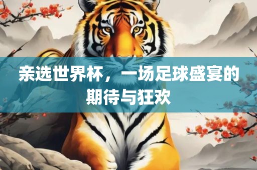 亲选世界杯，一场足球盛宴的期待与狂欢