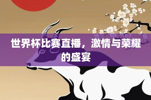 世界杯比赛直播，激情与荣耀的盛宴