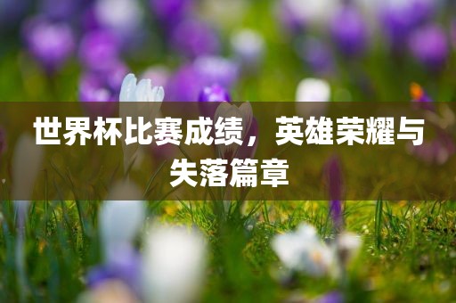世界杯比赛成绩，英雄荣耀与失落篇章