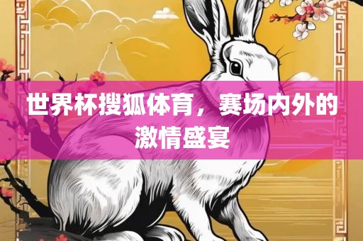 世界杯搜狐体育，赛场内外的激情盛宴