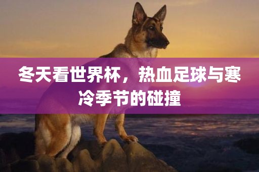 冬天看世界杯，热血足球与寒冷季节的碰撞