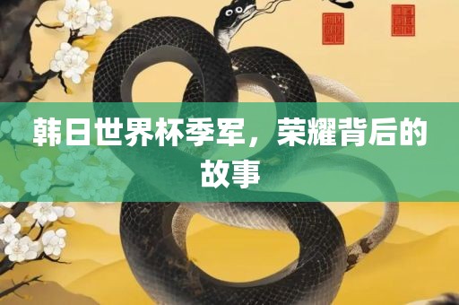 韩日世界杯季军，荣耀背后的故事
