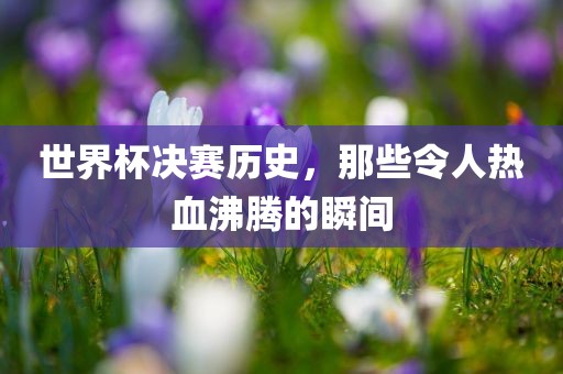 世界杯决赛历史，那些令人热血沸腾的瞬间