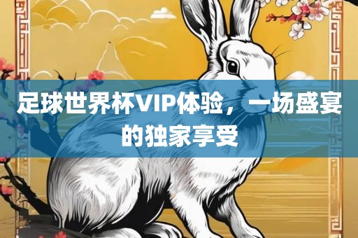 足球世界杯VIP体验，一场盛宴的独家享受