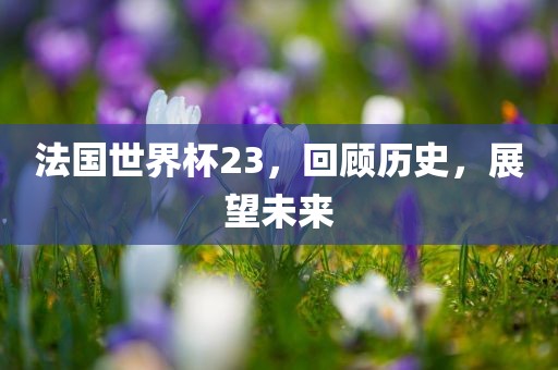 法国世界杯23，回顾历史，展望未来