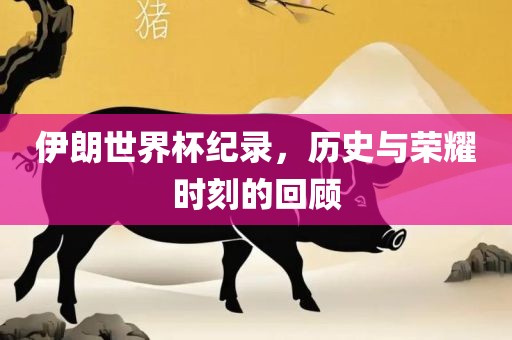 伊朗世界杯纪录，历史与荣耀时刻的回顾