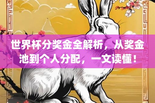 世界杯分奖金全解析，从奖金池到个人分配，一文读懂！