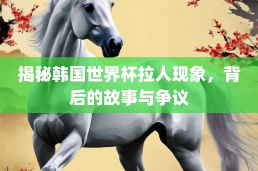 揭秘韩国世界杯拉人现象，背后的故事与争议