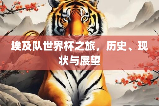 埃及队世界杯之旅，历史、现状与展望