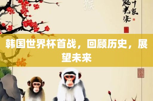 韩国世界杯首战，回顾历史，展望未来