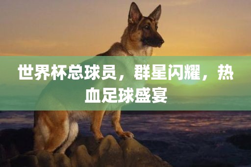 世界杯总球员，群星闪耀，热血足球盛宴