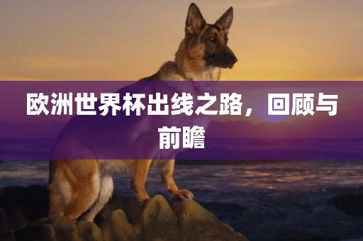 欧洲世界杯出线之路，回顾与前瞻