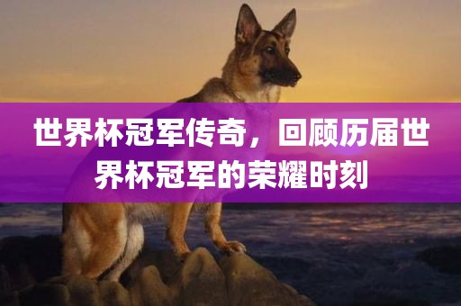 世界杯冠军传奇，回顾历届世界杯冠军的荣耀时刻