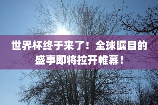 世界杯终于来了！全球瞩目的盛事即将拉开帷幕！