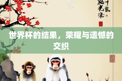 世界杯的结果，荣耀与遗憾的交织