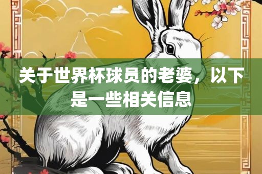 关于世界杯球员的老婆，以下是一些相关信息