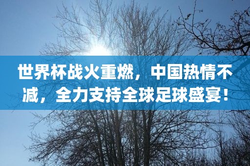 世界杯战火重燃，中国热情不减，全力支持全球足球盛宴！