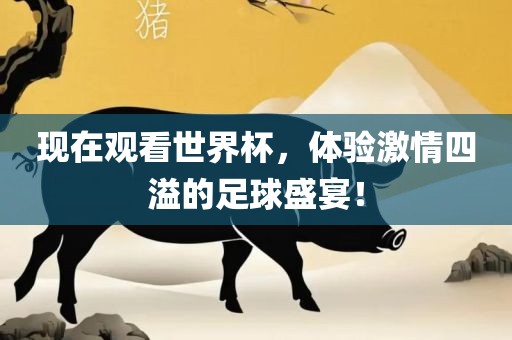 现在观看世界杯，体验激情四溢的足球盛宴！