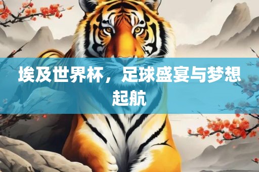 埃及世界杯，足球盛宴与梦想起航