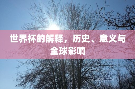 世界杯的解释，历史、意义与全球影响