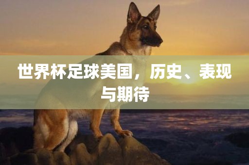 世界杯足球美国，历史、表现与期待