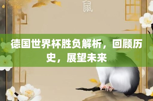 德国世界杯胜负解析，回顾历史，展望未来
