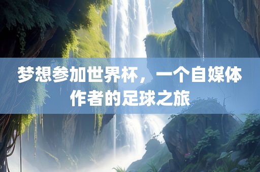 梦想参加世界杯，一个自媒体作者的足球之旅