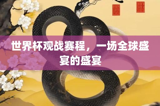 世界杯观战赛程，一场全球盛宴的盛宴