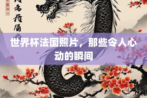 世界杯法国照片，那些令人心动的瞬间