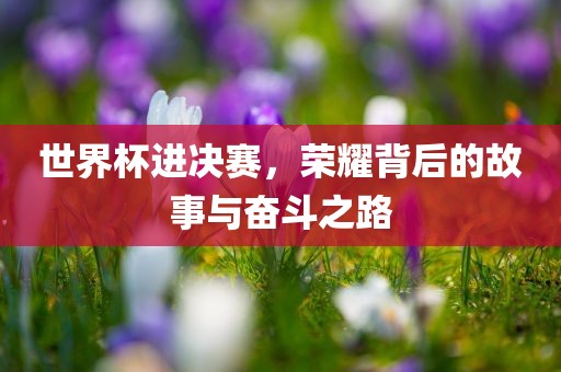 世界杯进决赛，荣耀背后的故事与奋斗之路