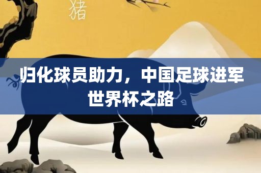 归化球员助力，中国足球进军世界杯之路