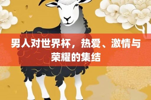 男人对世界杯，热爱、激情与荣耀的集结