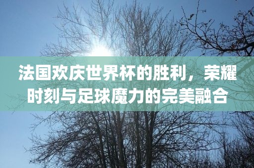 法国欢庆世界杯的胜利，荣耀时刻与足球魔力的完美融合