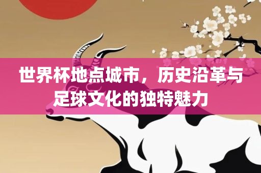 世界杯地点城市，历史沿革与足球文化的独特魅力