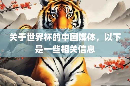 关于世界杯的中国媒体，以下是一些相关信息