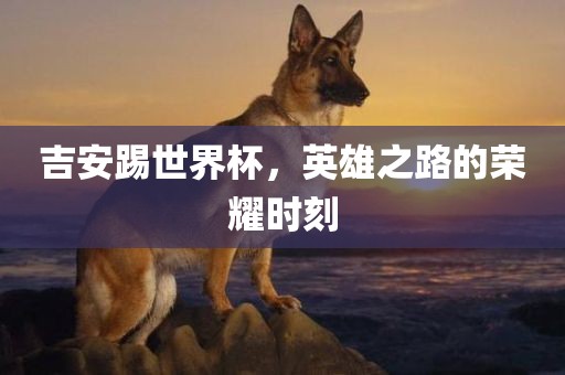 吉安踢世界杯，英雄之路的荣耀时刻
