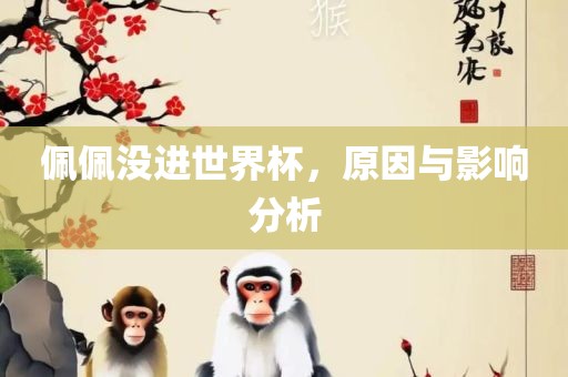 佩佩没进世界杯，原因与影响分析